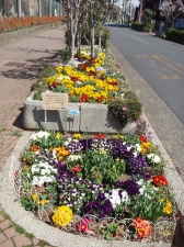 ときわ花小路花壇