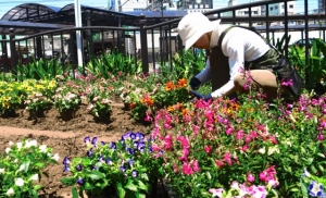 金松駅南口の花壇