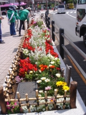 5月の花壇