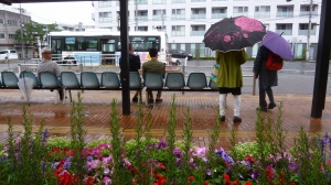 雨の日