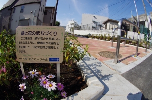 中町緑道の花壇