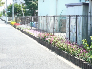 夏の花壇