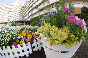 西新小岩リバーハイツの花壇