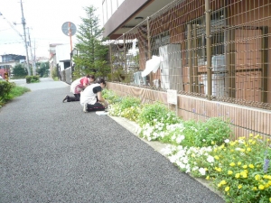 花いっぱいです♪