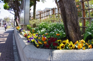 上小松小学校の花壇