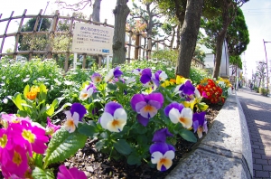 上小松小学校の花壇