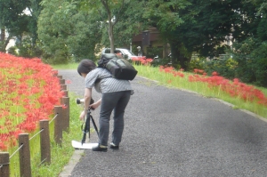 水元公園の初秋