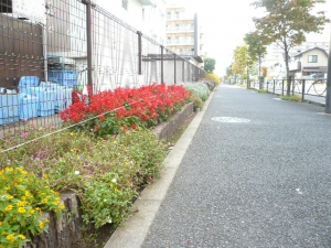 花いっぱいです♪