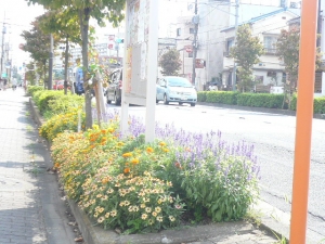 花いっぱいです♪