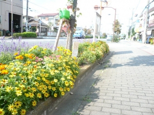 花いっぱいです♪