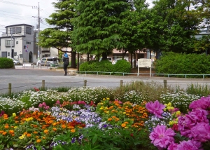 いつも通る公園