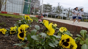 花が増えていく