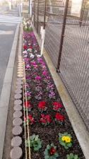 原田小学校の花壇