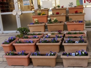 原田小学校の花壇