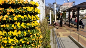 花壇整備中