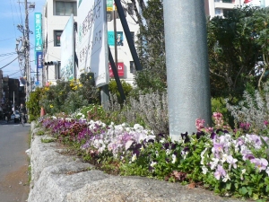 花いっぱいです♪