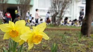 雨が降りました。