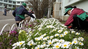 花壇整備の日