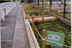 細田三丁目せせらぎ公園花壇