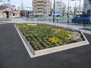 柴又フロリズ花壇（桜道中学校）