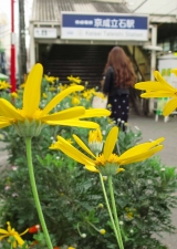 駅前の顔