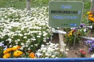 春爛漫の公園花壇(1)