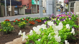 花壇の一部ですが。