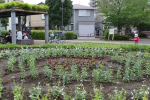 花のまちづくり協議会 平成３０年度第１回花苗の植え付け後の状況報告