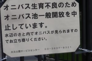 今夏の水元公園の自然を散歩する１