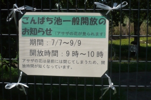 今夏の水元公園の自然を散歩する２