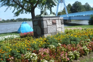 今夏の水元公園の自然を散歩する５