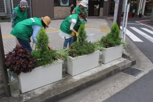 秋の植え替え