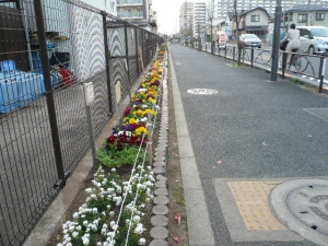 花いっぱいです♪