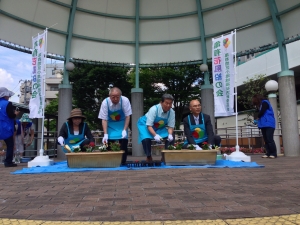 記念植え付け