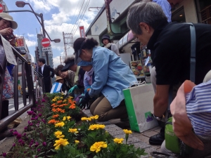 北口花壇の植え付け