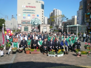 チューリップのお披露目会