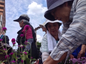 南口花壇の植え付け