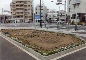 柴又フロリズ花壇（桜道中学校）