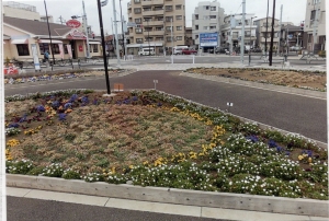 柴又フロリズ花壇（柴又小学校）