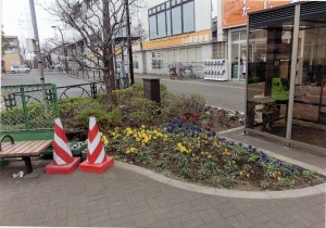 新柴又駅北口広場花壇