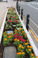 亀有花風船の会