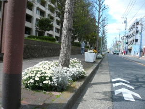 花いっぱいです♪