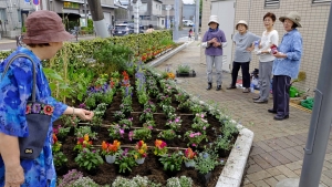 話しの花