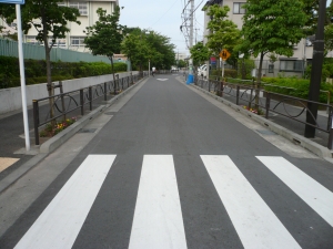 街路樹の下で