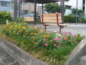 花いっぱいです♪