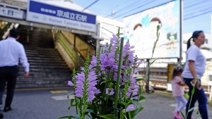 寒さに強く、丈夫です。