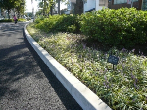 水元スポーツセンター公園