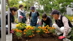 引き立つデザインで