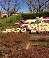 小菅西公園