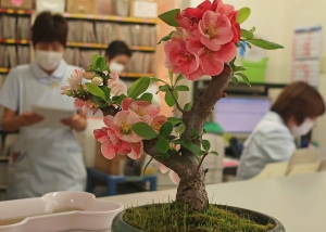 職場に花＆華。